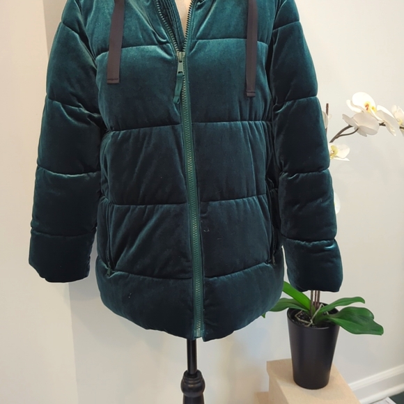 NWOT Gap Plush Velvet Evergreen Quilted Puffer Jacket - Size S - Picture 5 of 16